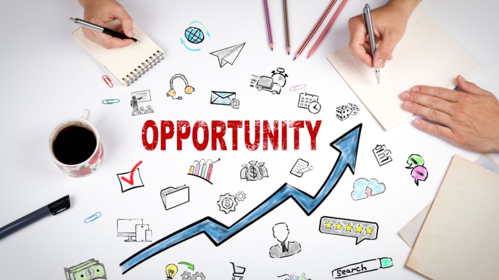 How to Identify the Right Business Opportunity for Your Skill Set